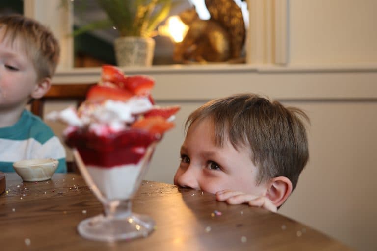 Cover Image for Your Kids Eat Free This Half Term at The Black Swan